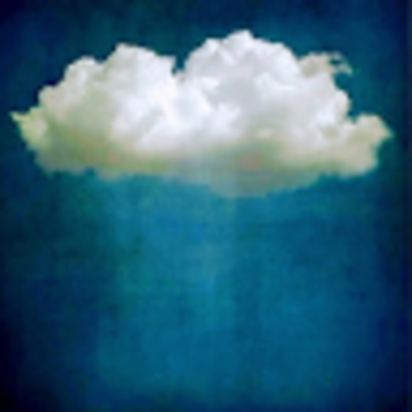 Meet your Posher, Mara - Picture 1 of 1